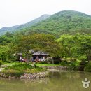 의신사천마을 티스토리
