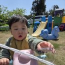 고운이이불