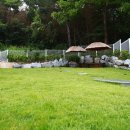 멍스타애견 이미지