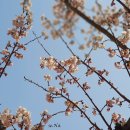 앞산공원 이미지