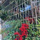 (주)시화대형카 | 목포 당일치기 하루 코스 추천｜인 헤르 또 본점-시화 골목길-근대역사관 1관 후기