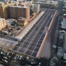 녹색공원 이미지