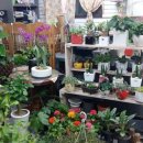 부평구청역 8번 출구 이미지