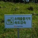 제주관광대학교 이미지