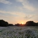 또또펜션 | 제주 펜션추천 또또펜션 낭만적이고 시설좋은 서귀포 독채 펜션