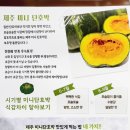 테이스티아일랜드
