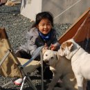 알프스캠핑장 이미지