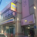 댕댕이 살롱 이미지