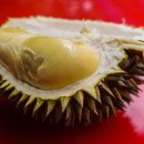 두리안 이코노믹포스트