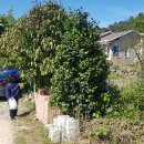 엄마의별장 이미지