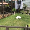 카페라떼르 이미지