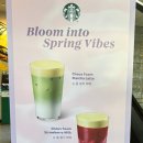 스타벅스 안성석정DT점 이미지