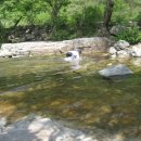 동안성병원 이미지