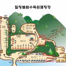 힐링별밤수목원캠핑장 이미지