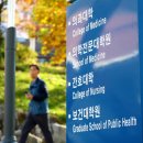 대전 4610 대전일보