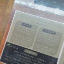 린다플랜트