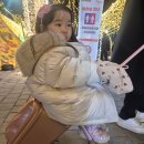 마리나 | 유아 타는 캐리어 추천 타고가요 마리나 사용 후기