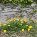 (주)네오웰빙 이미지