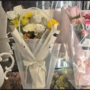 레플레르 이미지