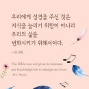 무디 이미지