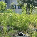 만천천길 이미지