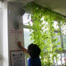 망경초등학교 이미지