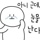 미미튀김