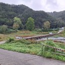 오동세월교 이미지