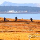 용암목장 연합뉴스