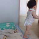 박진아소아과