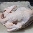 달구와 낭구 이미지