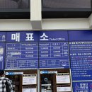 속초 여행 가볼만한곳 놀거리 속초아이대관람차 주말 방문 후기