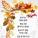 죽고나면 아무 소용없는 일 이미지