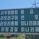 무의도맛집 웰빙미나리쌈밥