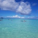 여행영어(기초) 이미지