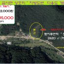 여주-0617 Daum카페