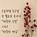 썬환경 Daum카페