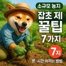 경운농장 | 소규모 농지 잡초 제거 꿀팁 7가지 (돈·시간 아끼는 방법)