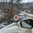 홍천 캠핑장, 알지(RZ)캠프266 5박 6일 후기+반려견 동반!