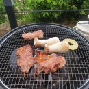 반디펜션 이미지