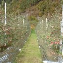 듬뿍농장 이미지