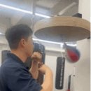 랩 복싱 피지컬 이미지