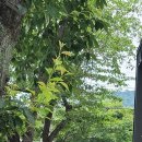 공마당길 이미지