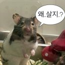 안방여관 | 대전안흥여관 은행동방탈출 세얼간이 탈출기