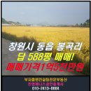 동읍588 이미지