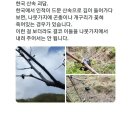 한국 산속 괴담 이미지