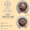 디에스엠피 이미지