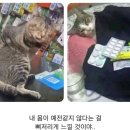 수련민박 - 문경시 노은1길 44-1 | 파리 🇫🇷 / 수플렌, 팡테옹, 파리식물원, 에트르타, 옹플뢰르, 몽생미셸, 지베르니, 15구 한인민박, 옥동식