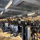 브로인제이 이미지