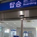 팬스타미라클 | 국내여행 팬스타 미라클 크루즈 신규취항 후기! 매우 만족! 로얄 스위트 객실